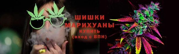 PSILOCYBIN Верея