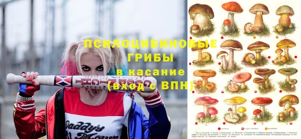 PSILOCYBIN Верея
