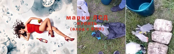PSILOCYBIN Верея