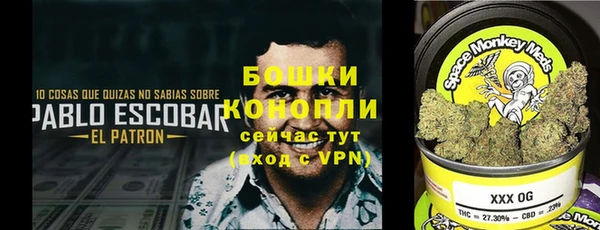 PSILOCYBIN Верея